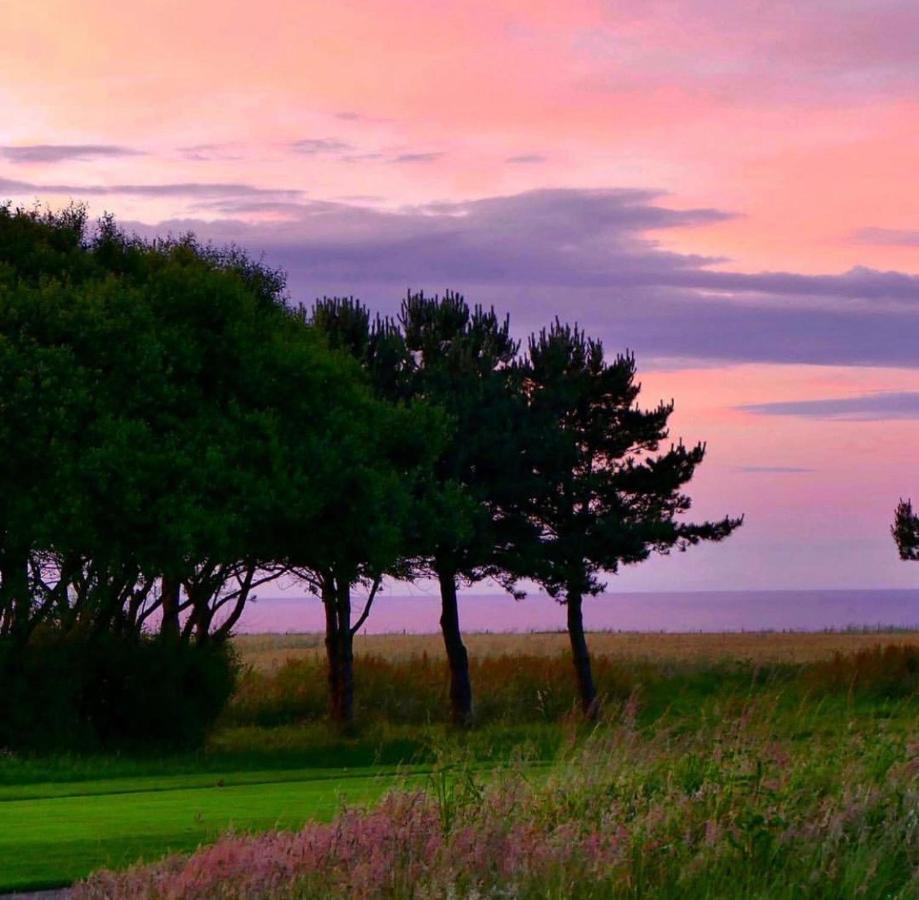 Normandy'S Green By The Sea Port-en-Bessin-Huppain Exterior foto